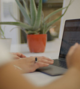 a plant and a computer on a desk